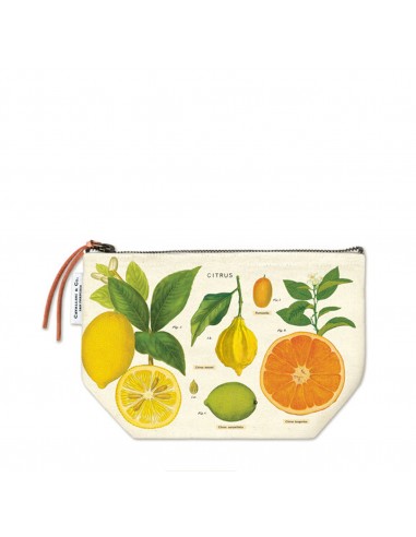 Bolso Vintage | Citrus | Cavallini