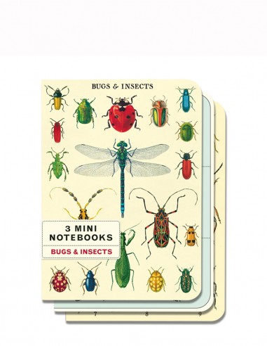 Set 3 Mini Cuadernos | Bugs & Insects | Cavallini