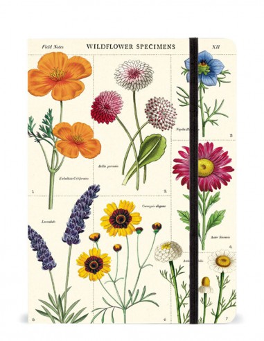 Cuaderno A5 Rayado | Wildflowers | Cavallini