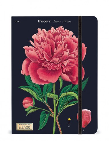 Cuaderno A5 Rayado | Botany | Cavallini