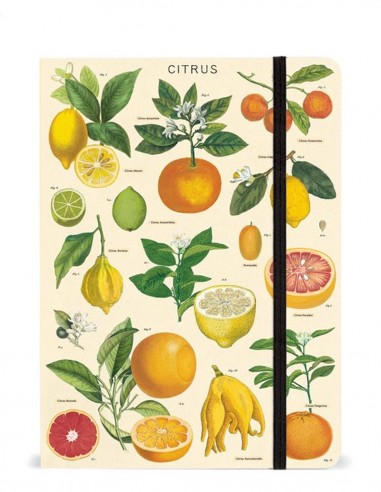 Cuaderno A5 Rayado | Citrus | Cavallini